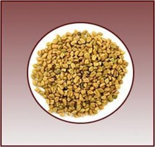 Fenugreek-spice