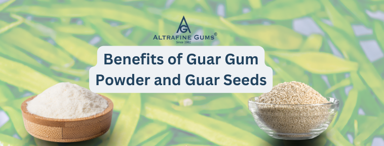 Benefits of Guar Gum Powder and Guar Seeds