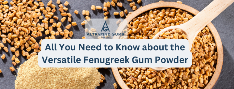 All You Need to Know about the Versatile Fenugreek Gum Powder