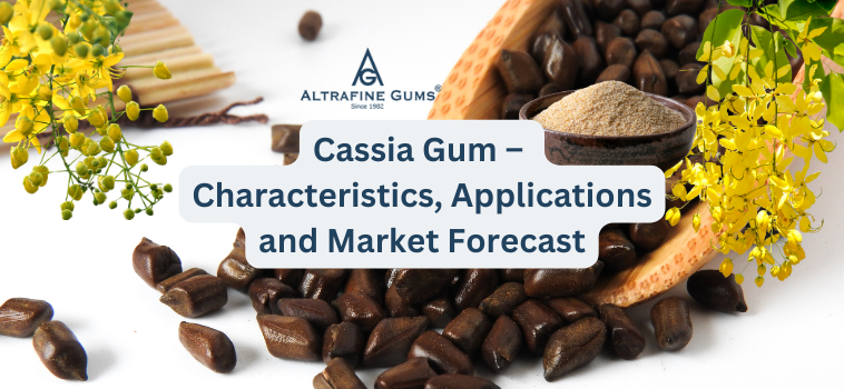 Cassia Gum – Characteristics, Applications and Market Forecast