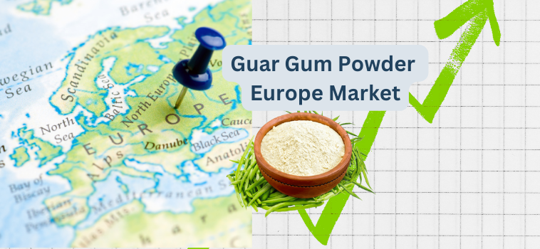 Guar Gum Powder Europe Market