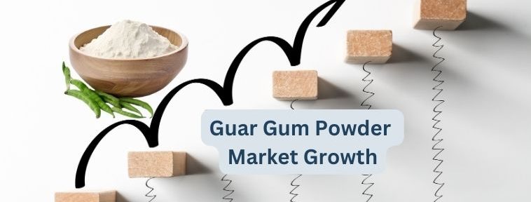 Guar Gum Powder Market Growth