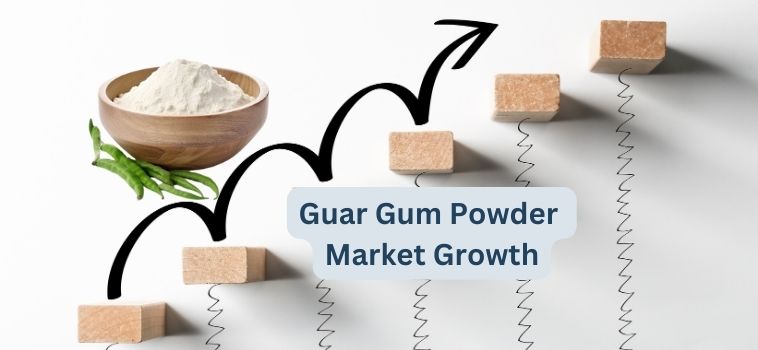 Guar Gum Powder Market Growth