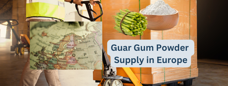 Guar Gum Powder Supply in Europe