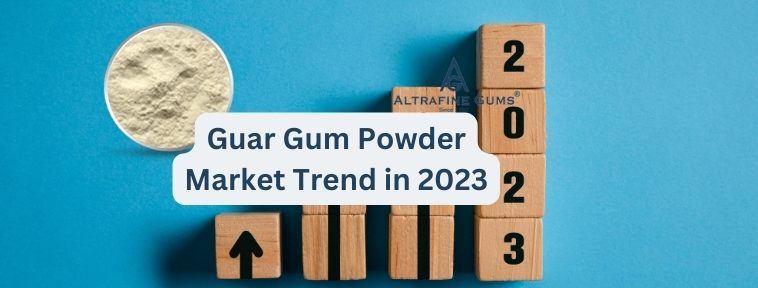 Guar Gum Powder Market Trend in 2023