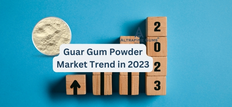 Guar Gum Powder Market Trend in 2023