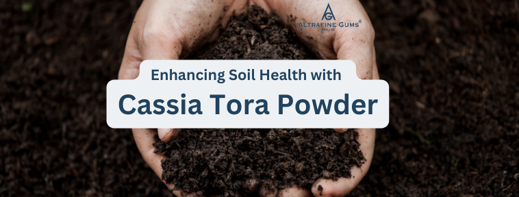 Enhancing Soil Health with Cassia Tora Powder