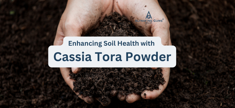 Enhancing Soil Health with Cassia Tora Powder