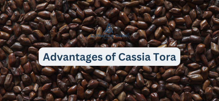 Advantages of Cassia Tora