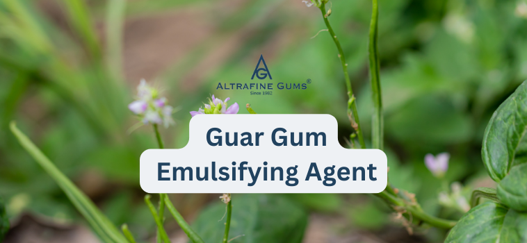 Guar Gum as an Emulsifying Agent