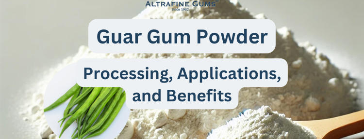 Guar Gum Powder Processing, Applications, and Benefits