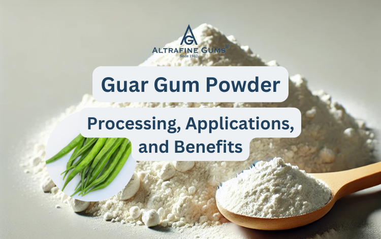 Guar Gum Powder Processing, Applications, and Benefits