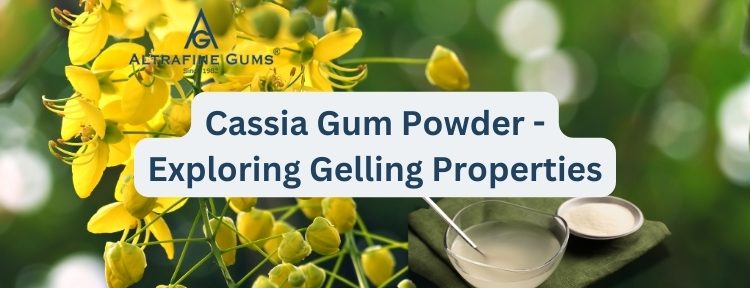 Refined-Cassia-Gum-Powder-Exploring-its-Gelling-Properties