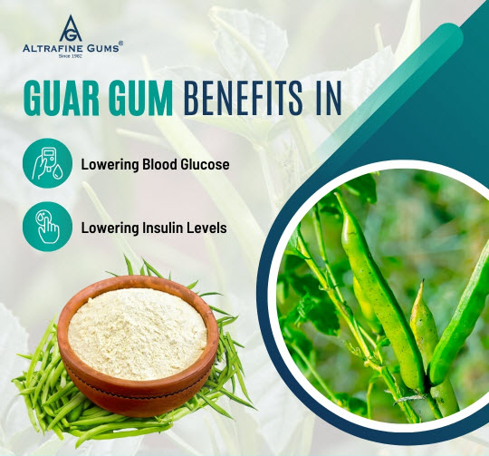 Benefits of Using Food Grade Guar Gum Powder