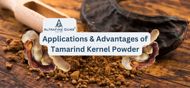 Applications & Advantages of Tamarind Kernel Powder