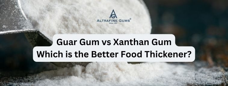 Guar Gum vs Xanthan Gum: Which is the Better Food Thickener?