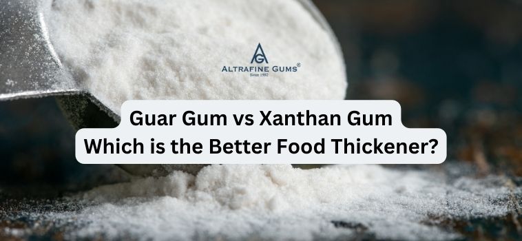 Guar Gum vs Xanthan Gum: Which is the Better Food Thickener?