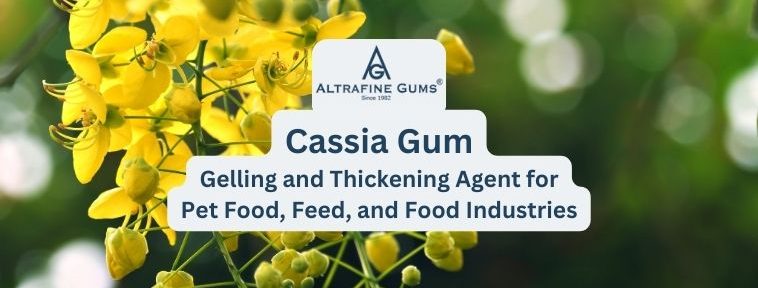 Cassia Gum: The Ideal Gelling and Thickening Agent for Pet Food, Feed, and Food Industries