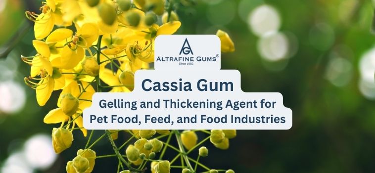 Cassia Gum: The Ideal Gelling and Thickening Agent for Pet Food, Feed, and Food Industries