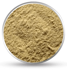 cassia tora powder