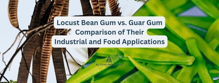 Locust Bean Gum vs. Guar Gum