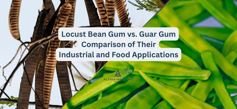 Locust Bean Gum vs. Guar Gum